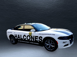 Halcones Patrol services